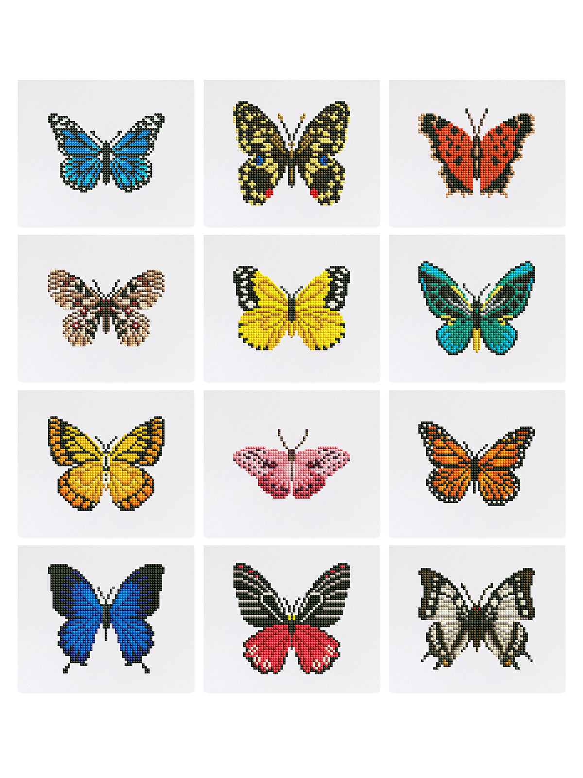 Schmetterlingsausgabe 2