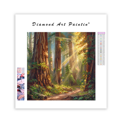 Redwood Forest - Diamantmalerei