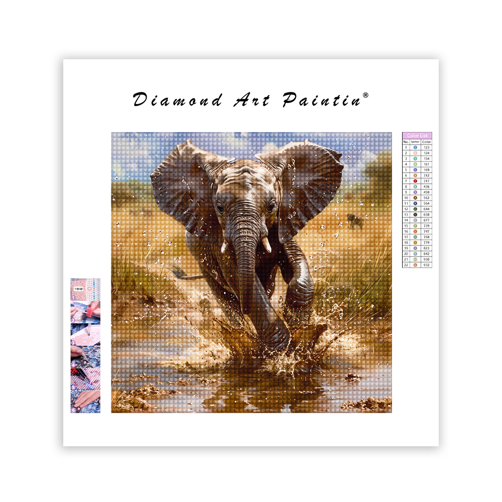 Éléphants dans le désert - Peinture au diamant