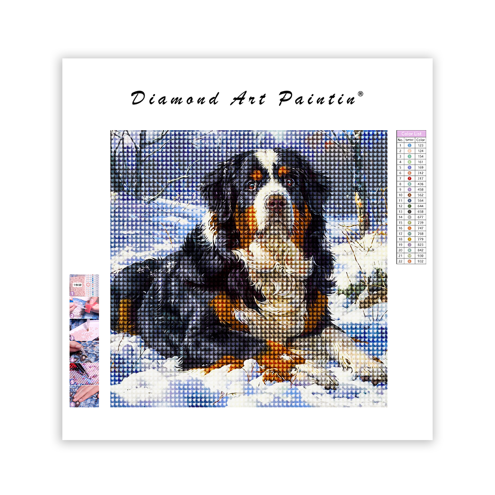 Burnese Mountain Dog - Diamond Painting