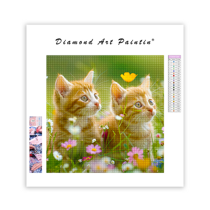 Deux chatons assis dans un champ - Diamond Painting