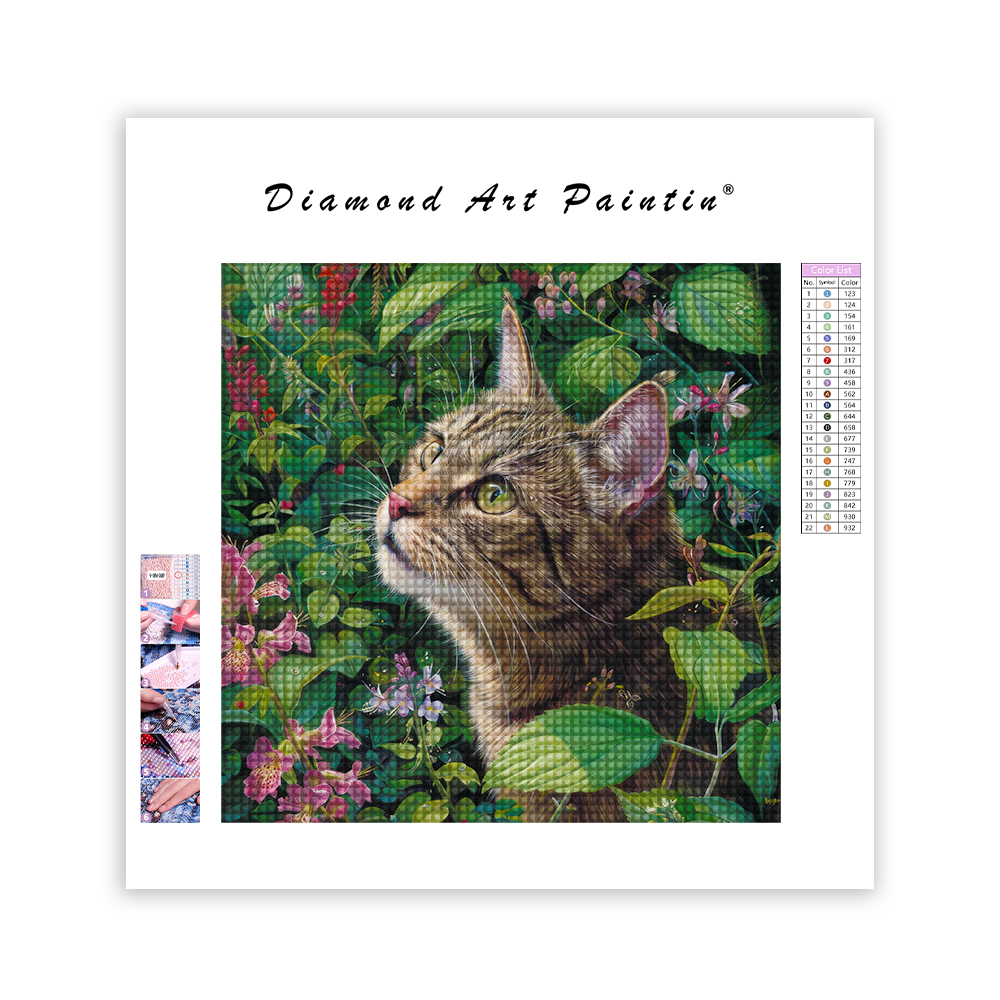 Schöne süße Katze - Diamantmalerei
