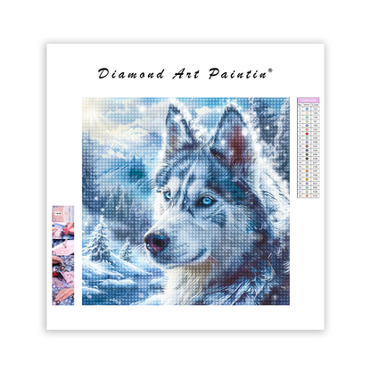 Un loup aux yeux bleus - Diamond Painting