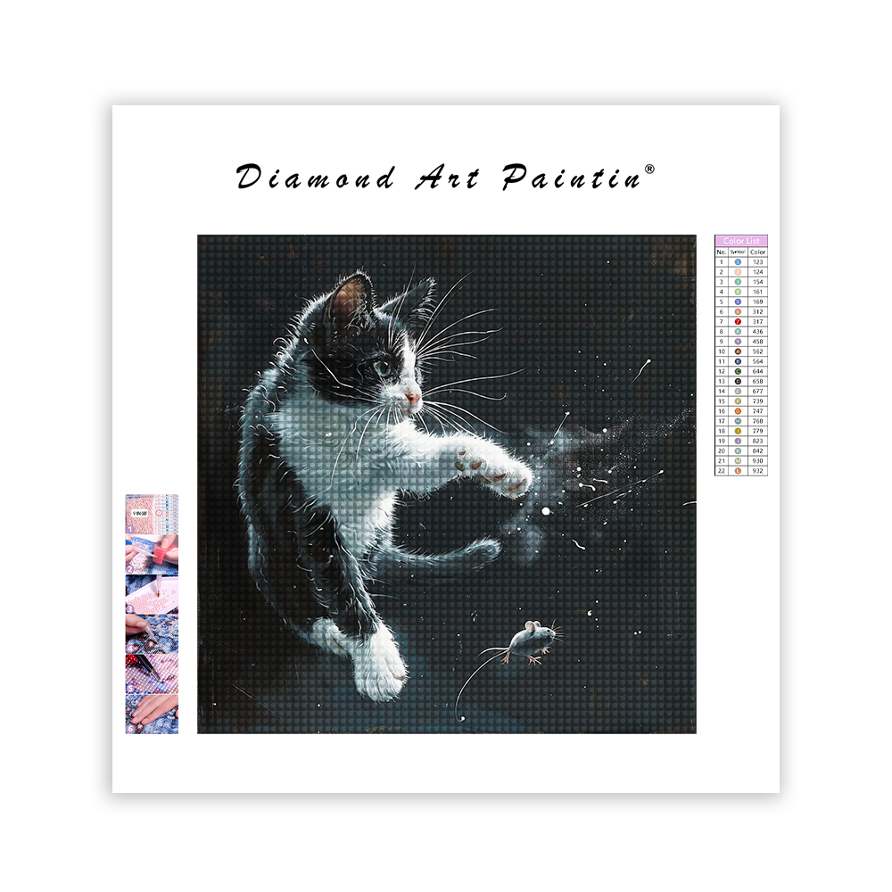 Un chat noir et blanc - Diamond Painting