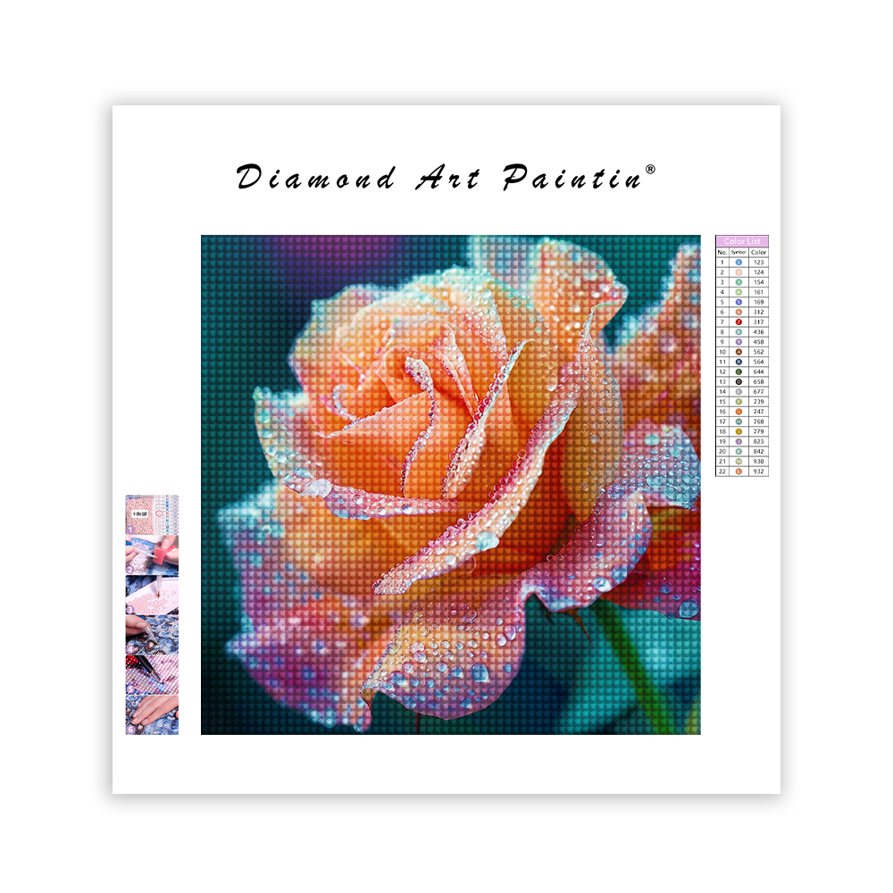 Pink Roses - Diamond Painting