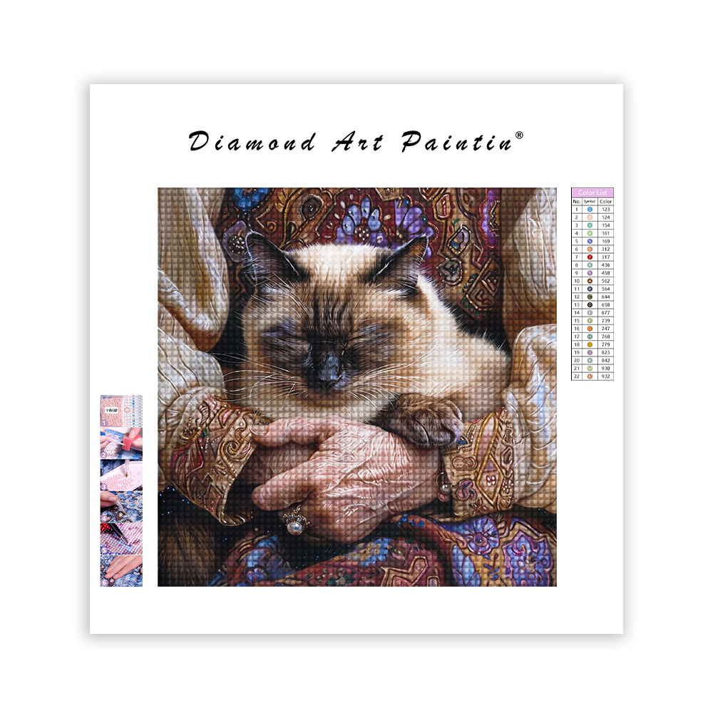 Un chat siamois moelleux - Diamond Painting