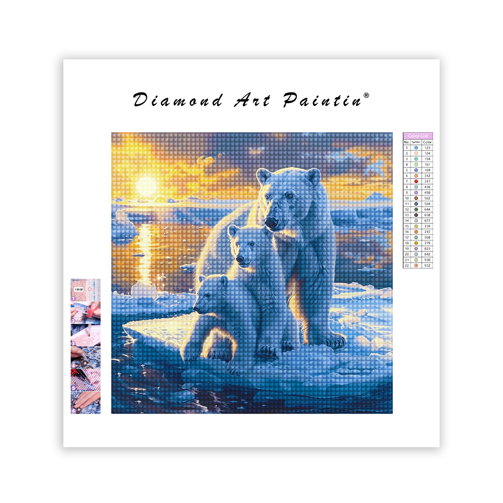 Polar bears on ice - Diamond Painting