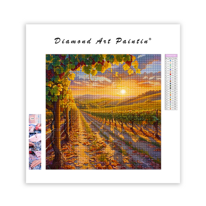 Sunset in the Vineyard - Diamond Painting