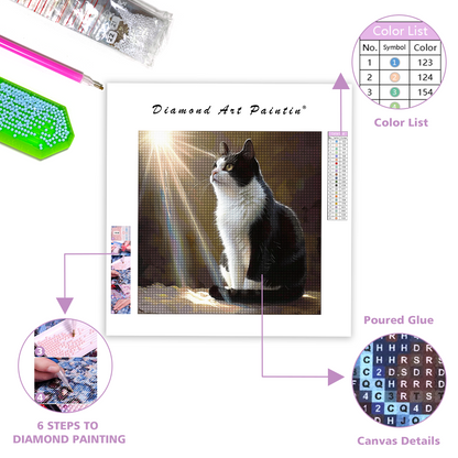 Flauschige Katze - Diamantmalerei