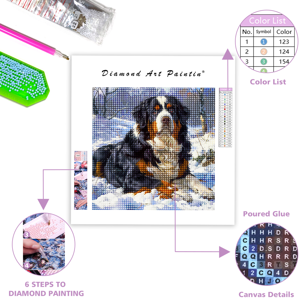 Burnese Mountain Dog - Diamond Painting