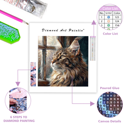 Sehr hübsche Katze - Diamond Painting