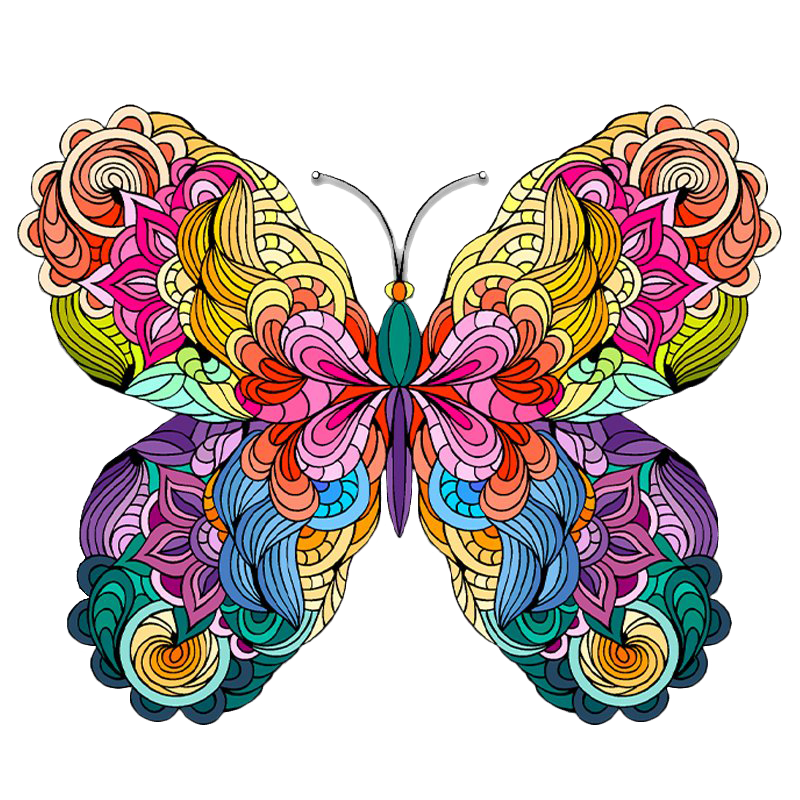 Butterfly Colorful Edition- Diamond Painting